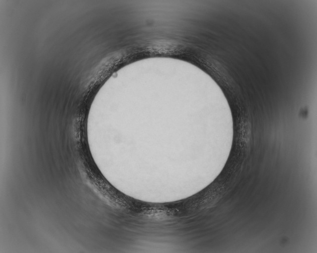 X0000116510738201001061222