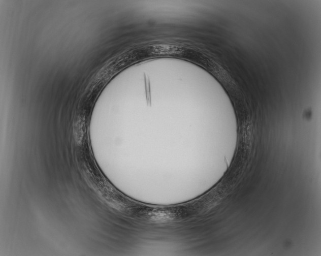 X0000116510741201001061222