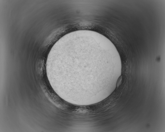 X0000116510742201001061222