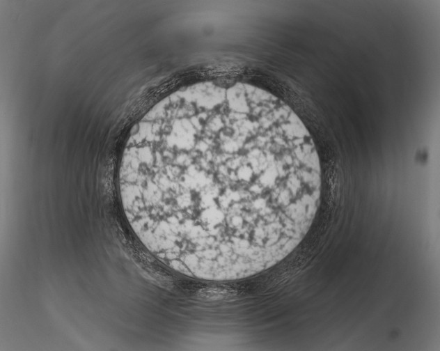 X0000116510745201001061223