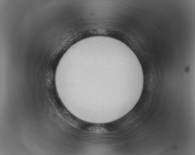 X0000116510747201001061223