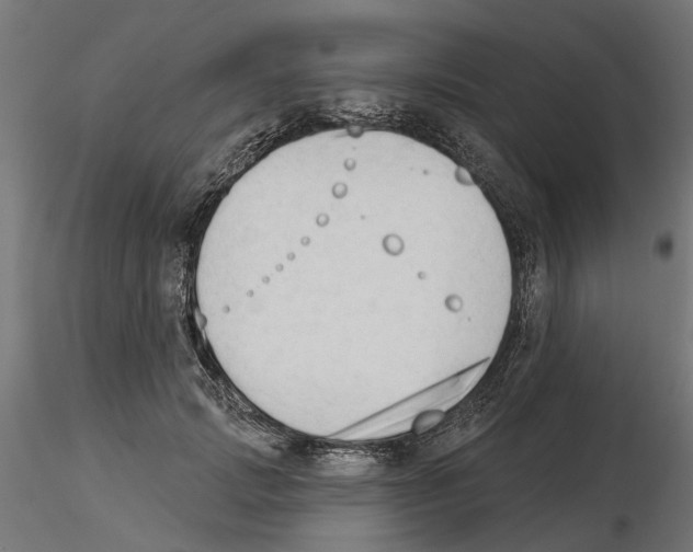 X0000116510749201001061223