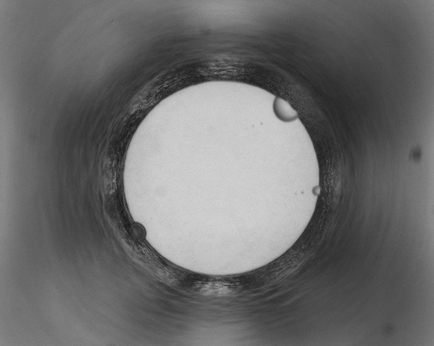 X0000116510751201001061223