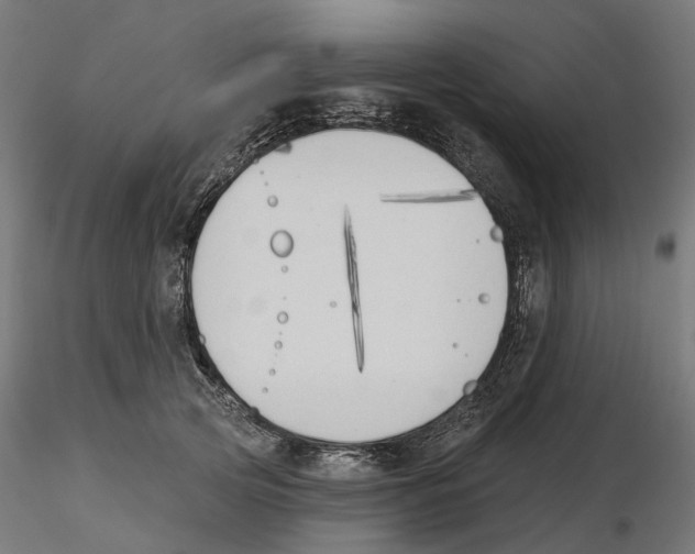 X0000116510753201001061223