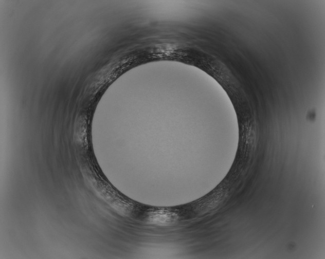 X0000116510754201001061223