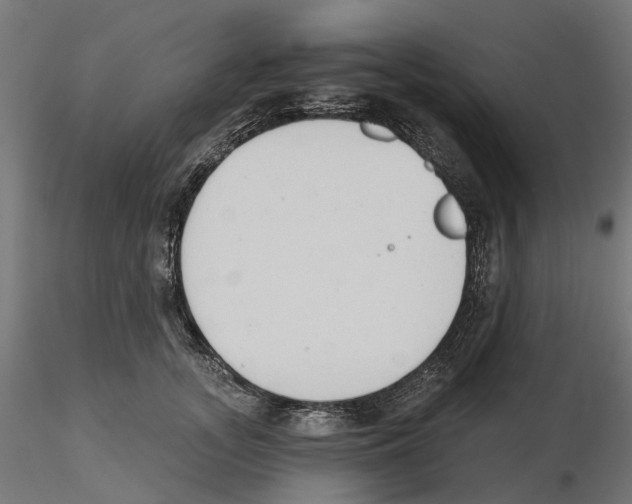 X0000116510755201001061223
