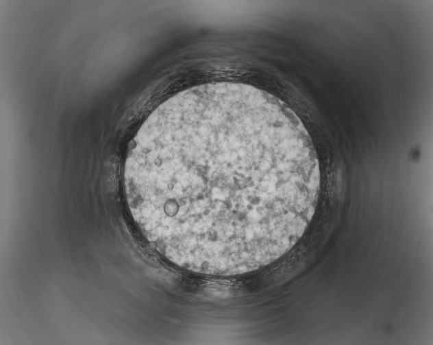 X0000116510757201001061223
