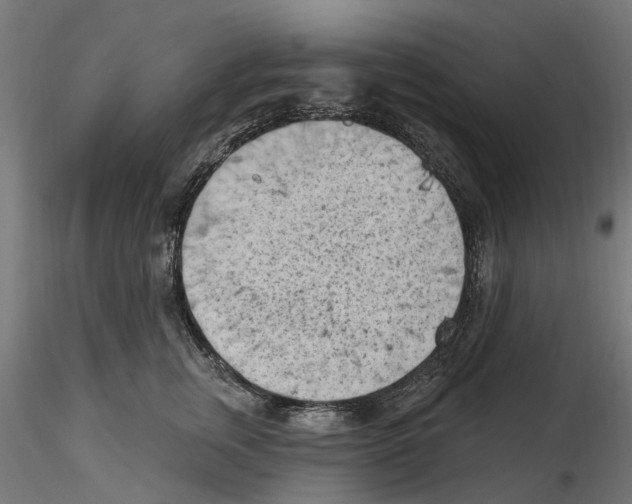X0000116510759201001061223
