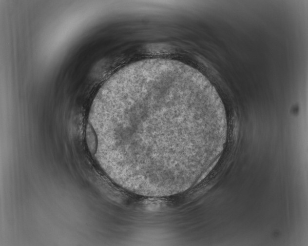 X0000116510762201001061223