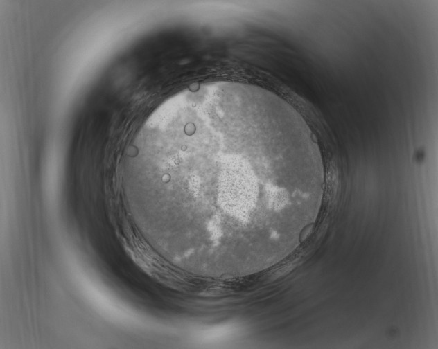 X0000116510765201001061223