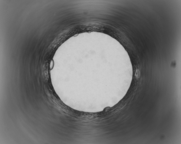 X0000116510771201001061222