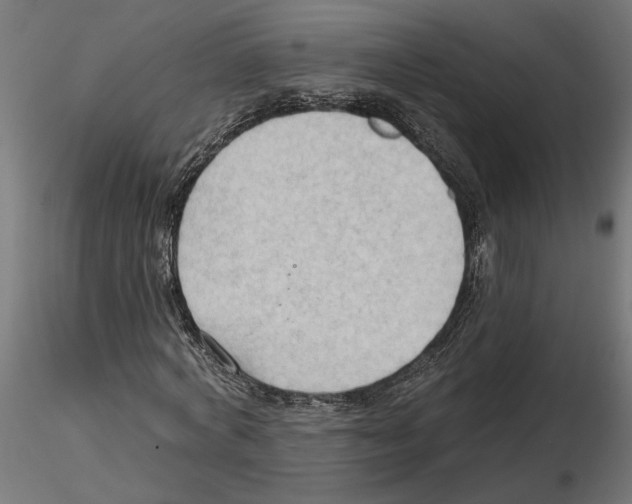 X0000116510772201001061222