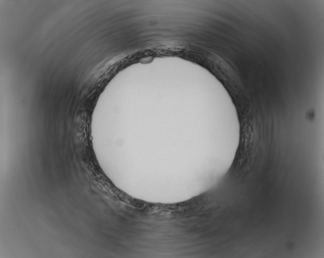 X0000116510773201001061222