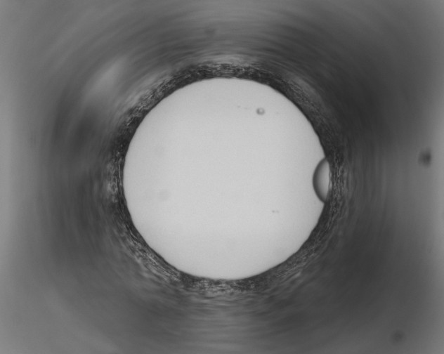 X0000116510774201001061222