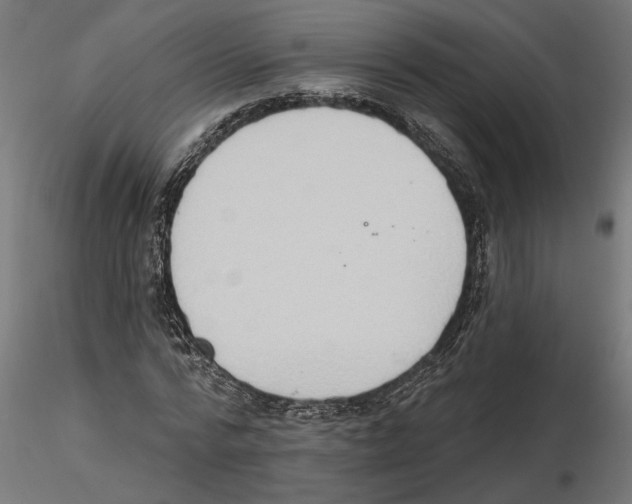 X0000116510776201001061222