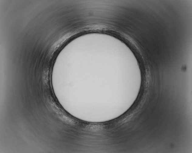 X0000116510778201001061222
