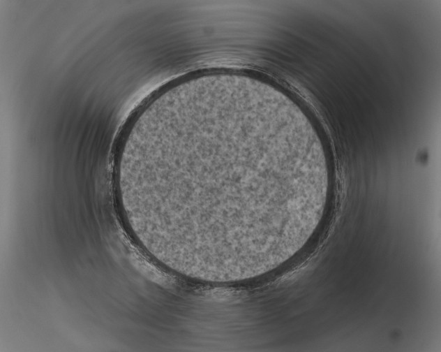 X0000116510779201001061222