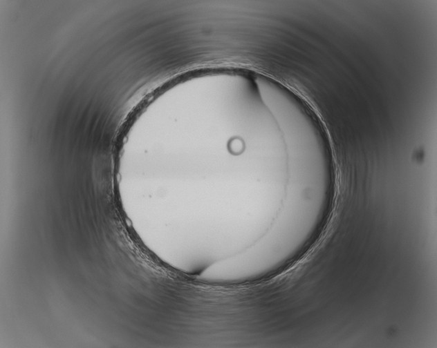 X0000116510781201001061222