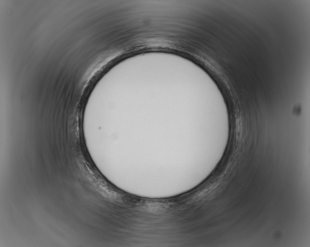 X0000116510782201001061222