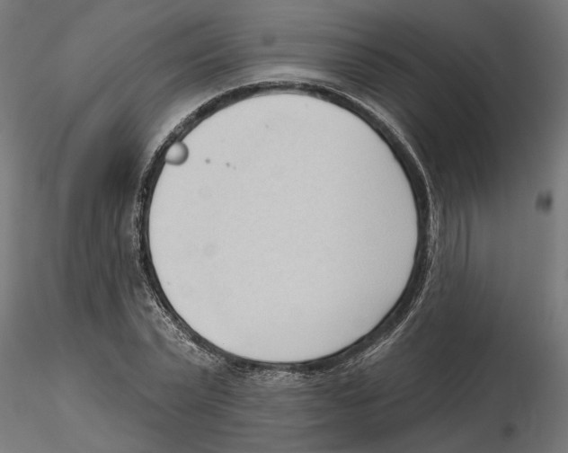X0000116510783201001061222