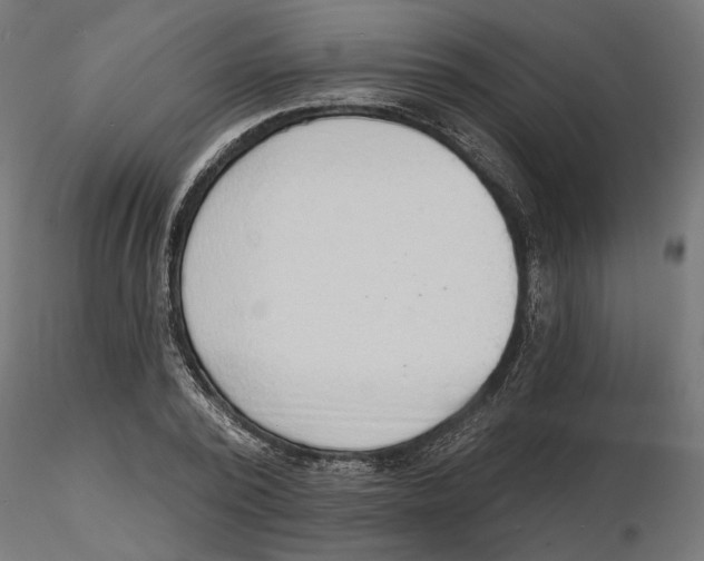 X0000116510784201001061222
