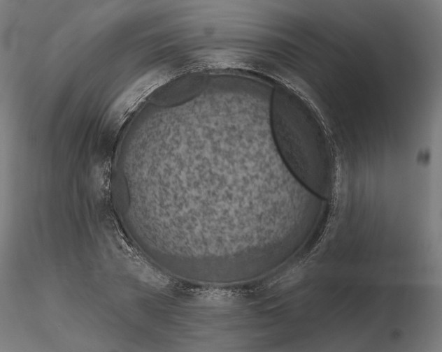 X0000116510785201001061222