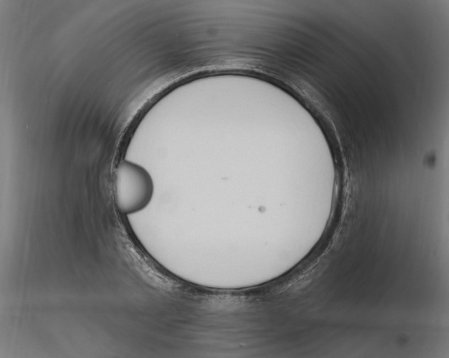 X0000116510789201001061222