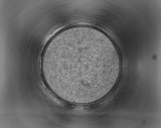 X0000116510790201001061222