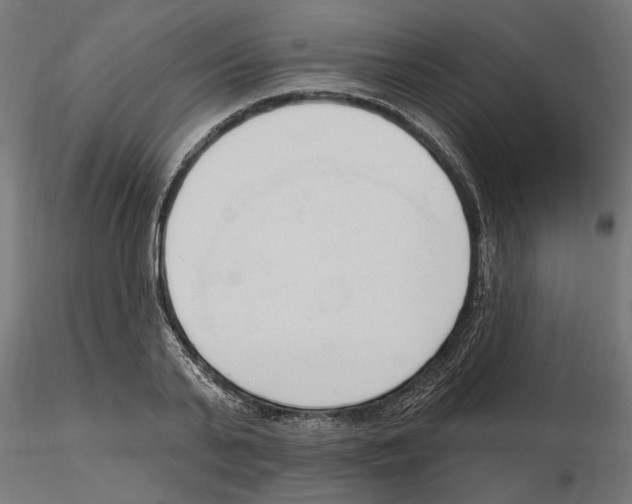 X0000116510791201001061222