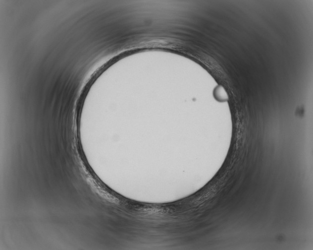 X0000116510792201001061222