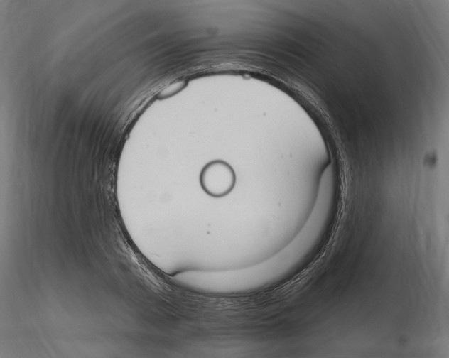 X0000116510793201001061222