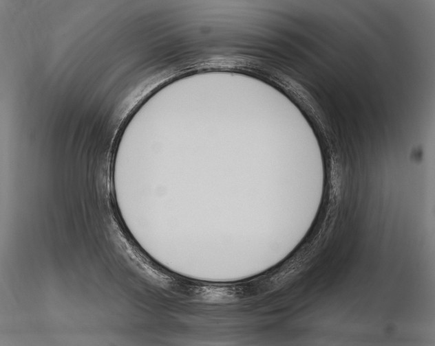 X0000116510794201001061222