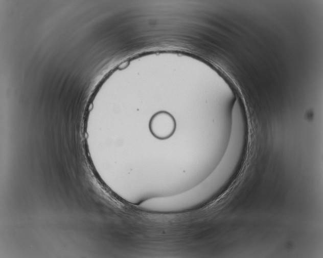 X0000116510797201001061222