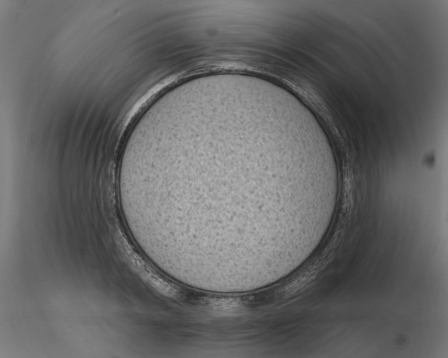X0000116510798201001061222
