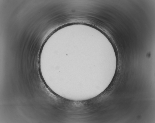 X0000116510799201001061222