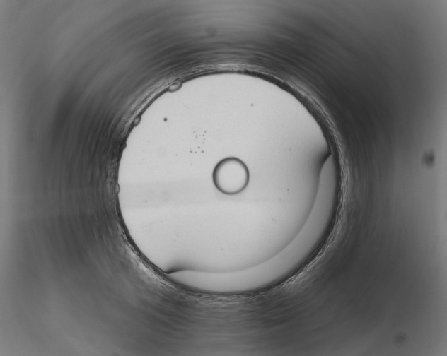 X0000116510801201001061222