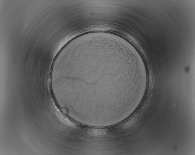 X0000116510802201001061222