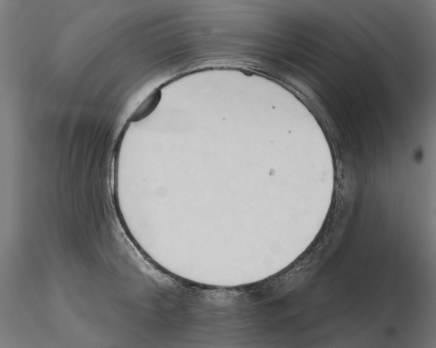 X0000116510804201001061222