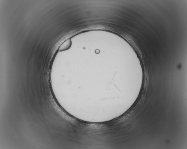 X0000116510805201001061222