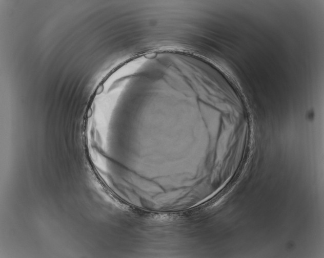 X0000116510806201001061222