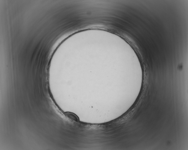 X0000116510808201001061222