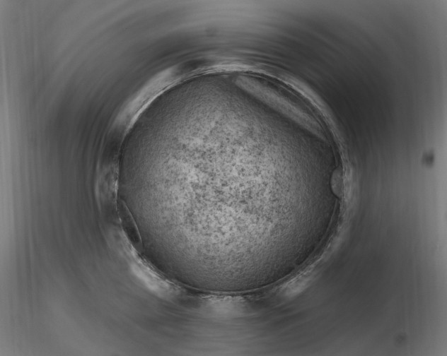 X0000116510809201001061222