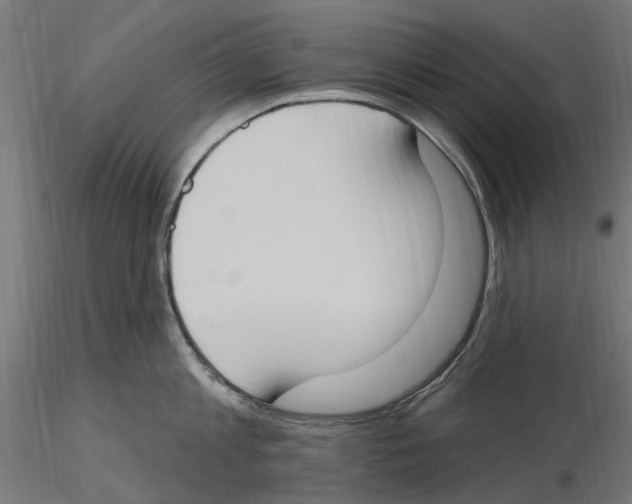 X0000116510813201001061222