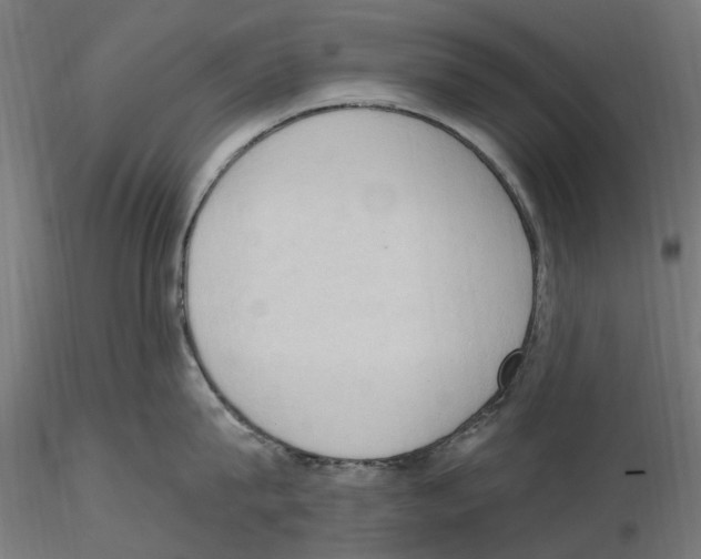 X0000116510815201001061222