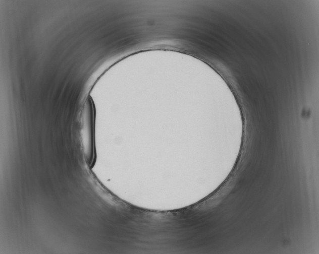 X0000116510816201001061222