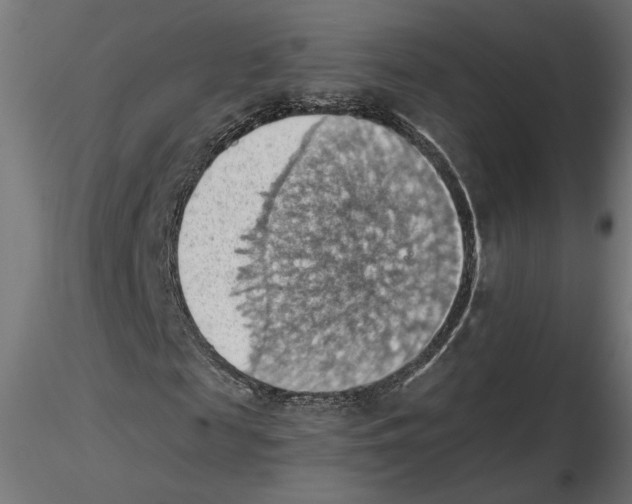 X0000116510817201001061221