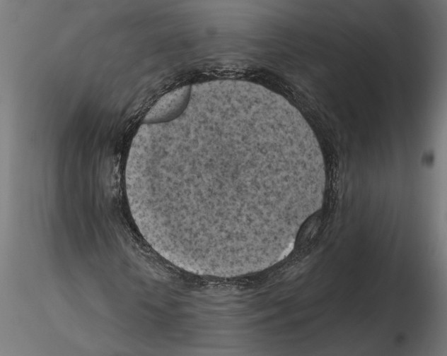 X0000116510818201001061221