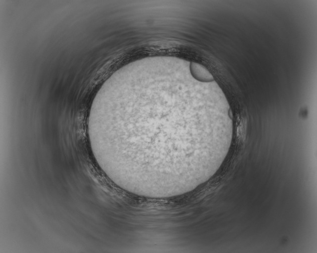 X0000116510819201001061221