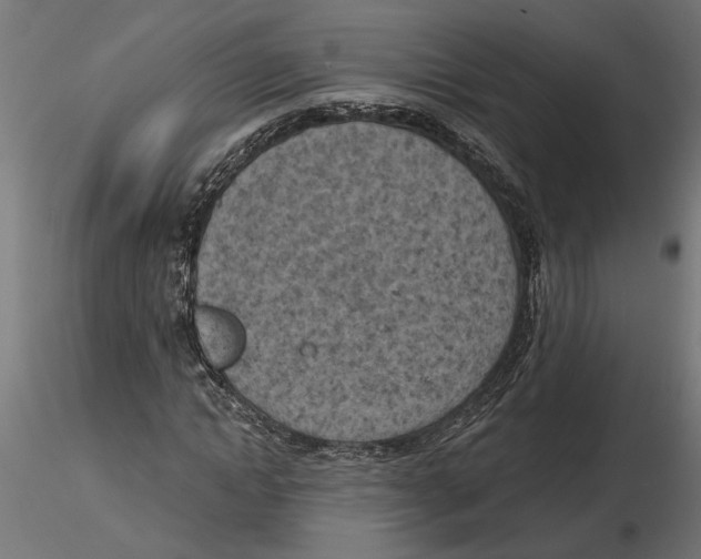 X0000116510822201001061221