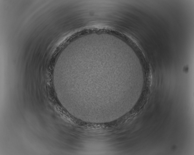 X0000116510823201001061221